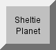 Sheltie planet